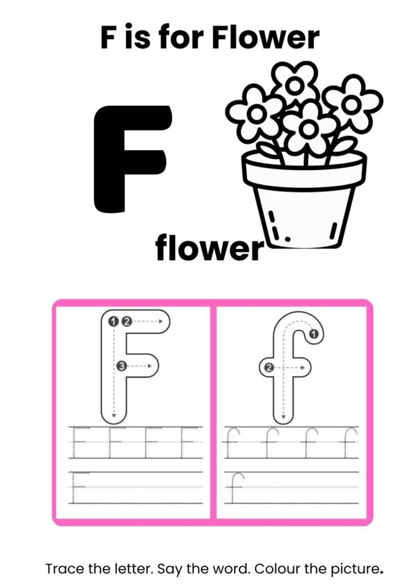 8 Alphabet & Numbers Colouring Book + Teacher Guide (Grade 00–R)